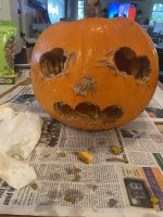 IMG_4046.jpeg