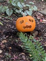 IMG_4047.jpeg