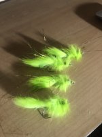 IMG_1350.jpeg