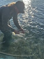 IMG_8068.jpeg