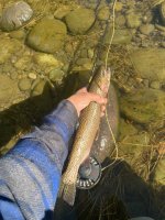 IMG_7234.jpeg