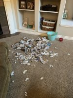 IMG_1977.jpeg
