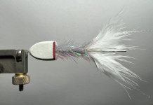 IMG_5296.jpeg