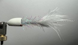IMG_5297.jpeg