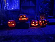 IMG_5540.jpeg