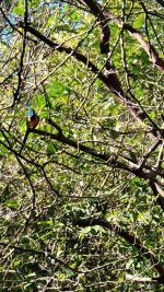 VideoCapture_20231031-102101.jpg