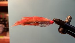 IMG_4549.jpeg