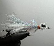 IMG_5312.jpeg