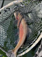 IMG_3526.jpeg IMG_3526.jpeg