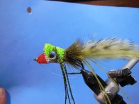 DSCN0009.JPG bass bug.JPG