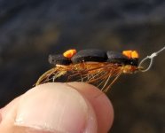 20231103_foamcaddis.jpg 20231103_foamcaddis.jpg
