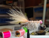 IMG_20231103_221119980 (1).jpg