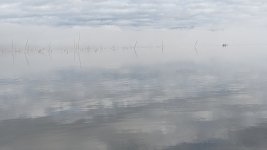 PXL_20231103_173852520.jpg