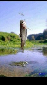 FB_IMG_1699201779844.jpg
