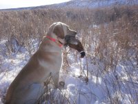 IMG_0217.jpeg