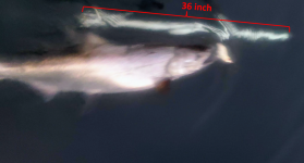 1699243532671.png 1699243532671.png