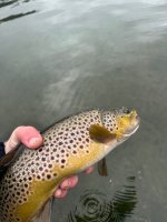 IMG_0033.jpeg IMG_0033.jpeg