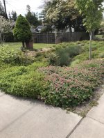 IMG_5371.jpeg