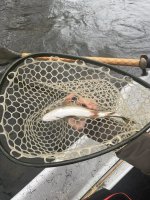 IMG_0625.jpeg