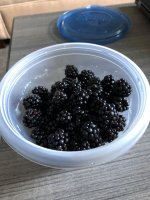 Blackberries.jpg