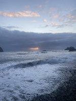 IMG_1308.jpeg