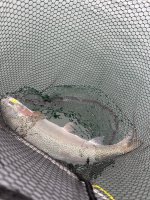 IMG_2358.jpeg