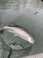 IMG_2357.jpeg