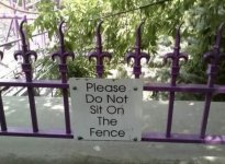IMG_5418.jpeg