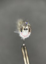 IMG_1171.jpeg
