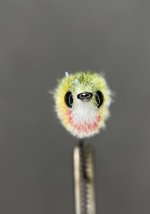 IMG_1180.jpeg