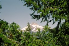 fishing Metolius & Deschutes-24.jpg