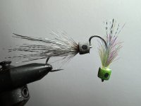 IMG_5420.jpeg