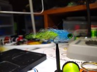 IMG_20231108_173411970.jpg