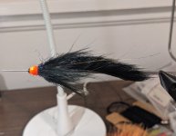 squirrely2.jpg