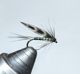 PXL_20231110_035133623.MP.jpg