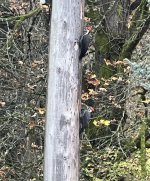 IMG_5455.jpeg IMG_5455.jpeg