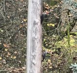 IMG_5454.jpeg IMG_5454.jpeg