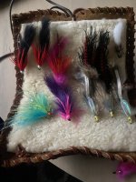 IMG_3553.jpeg