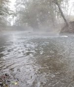 20231109_mist.jpg