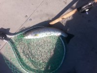 20180506_084034.jpg