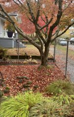 IMG_4116.jpeg