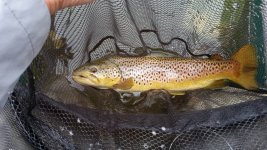 20160611_132247.jpg