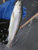 IMG_5530.jpeg
