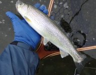 IMG_5532.jpeg