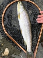 IMG_5539.jpeg
