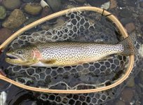 IMG_5536.jpeg