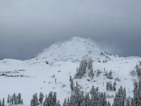 IMG_5308.JPG