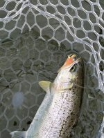 IMG_8126.jpeg