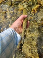 IMG_20220806_120219.jpg