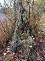 IMG_2298.jpeg